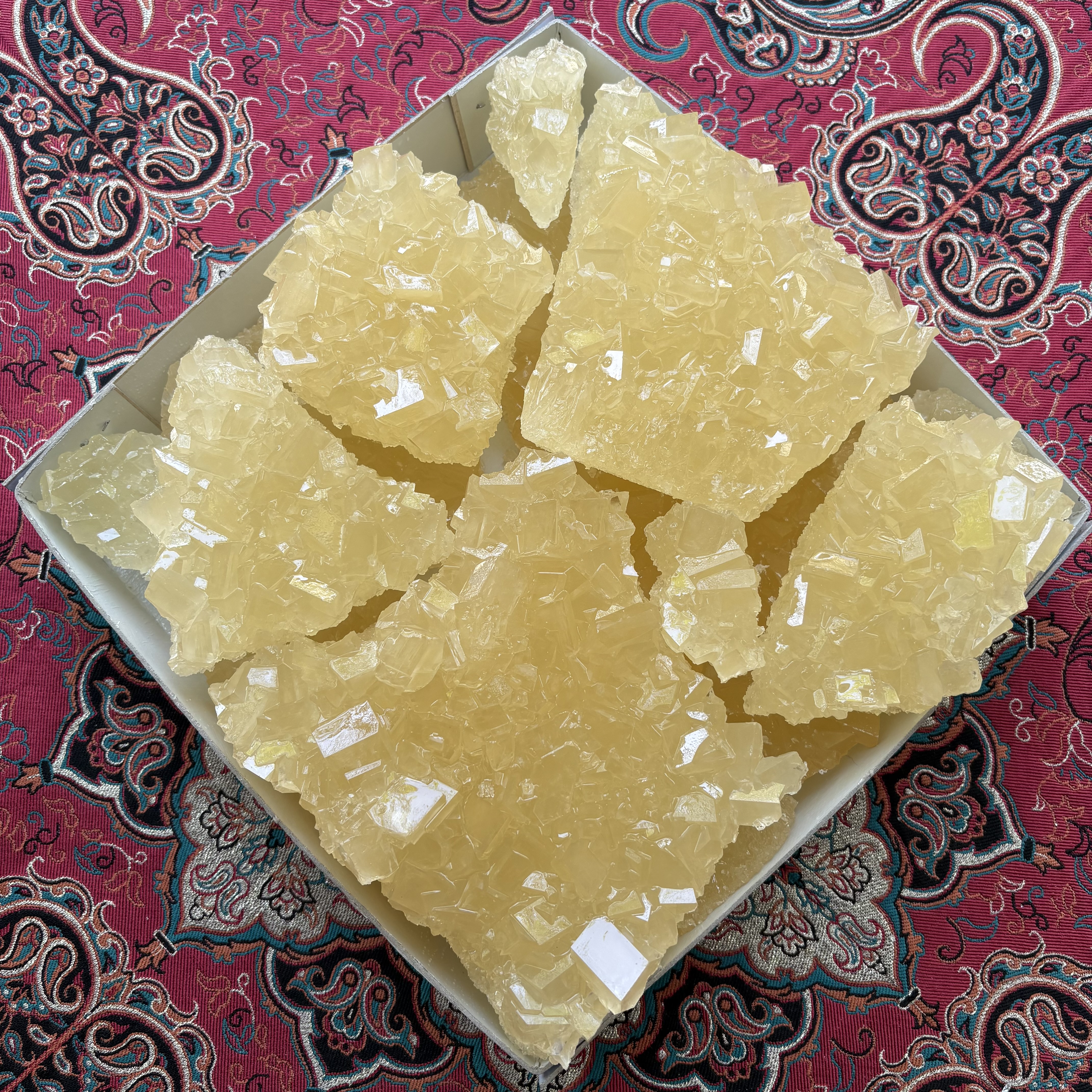 کاسه نبات ساده